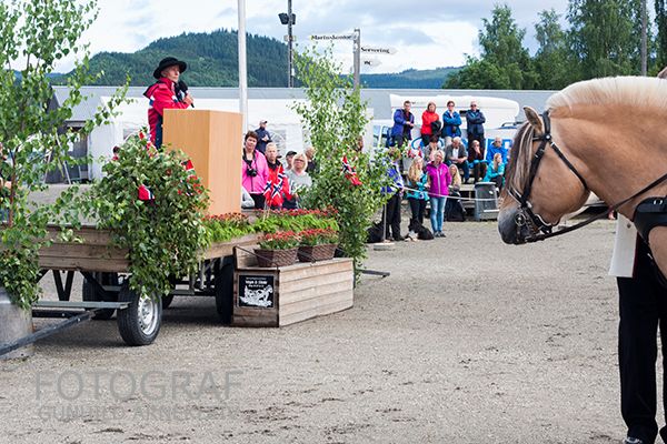 NM fjordhest 2015 Foto: Gunhild Arnekleiv photo 20150706_fjordhest_nm_0303copy_zpsi3f0uarz.jpg