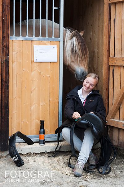 NM fjordhest 2015 Foto: Gunhild Arnekleiv photo 20150707_fjordhest_nm_0084copy_zps49x9ono5.jpg