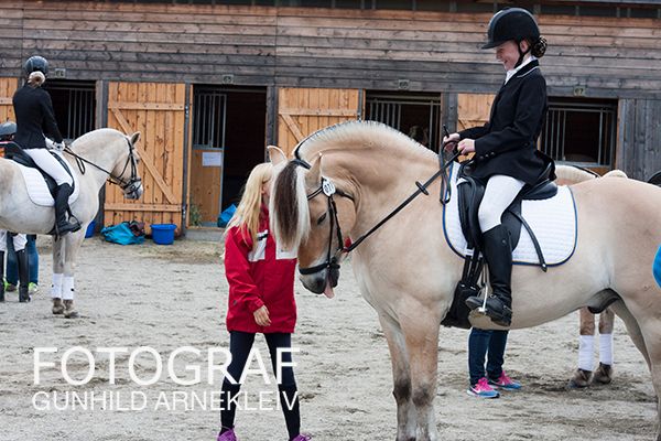 NM fjordhest 2015 Foto: Gunhild Arnekleiv photo 20150707_fjordhest_nm_0259copy_zps9xolbbfk.jpg