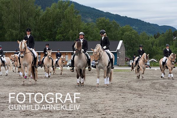 NM fjordhest 2015 Foto: Gunhild Arnekleiv photo 20150707_fjordhest_nm_0294copy_zps1i8xvt8m.jpg