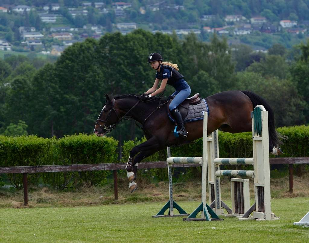  photo 24_zpsogxczhhz.jpg