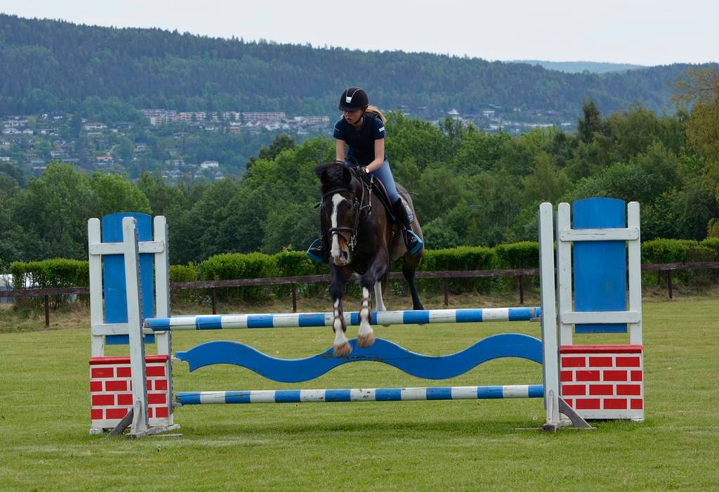  photo 25_zpsqlf7iun8.jpg