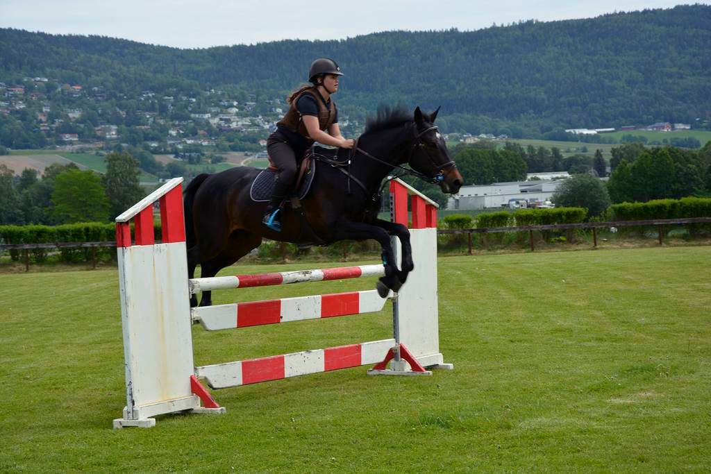  photo 26_zpsammmkxd4.jpg