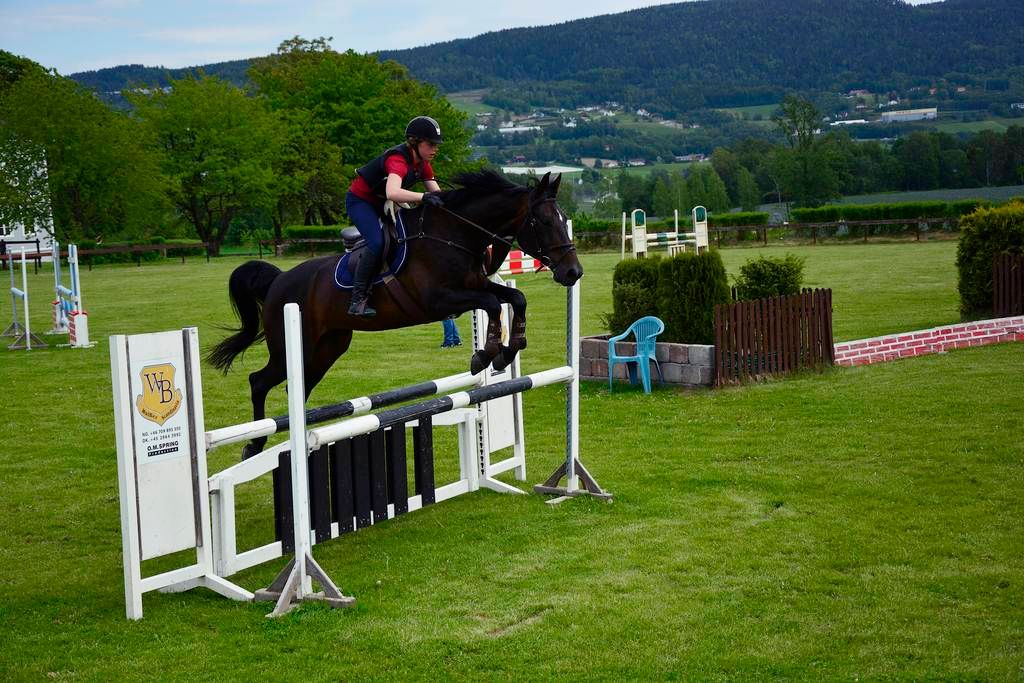  photo 27_zpszpu5ewjt.jpg