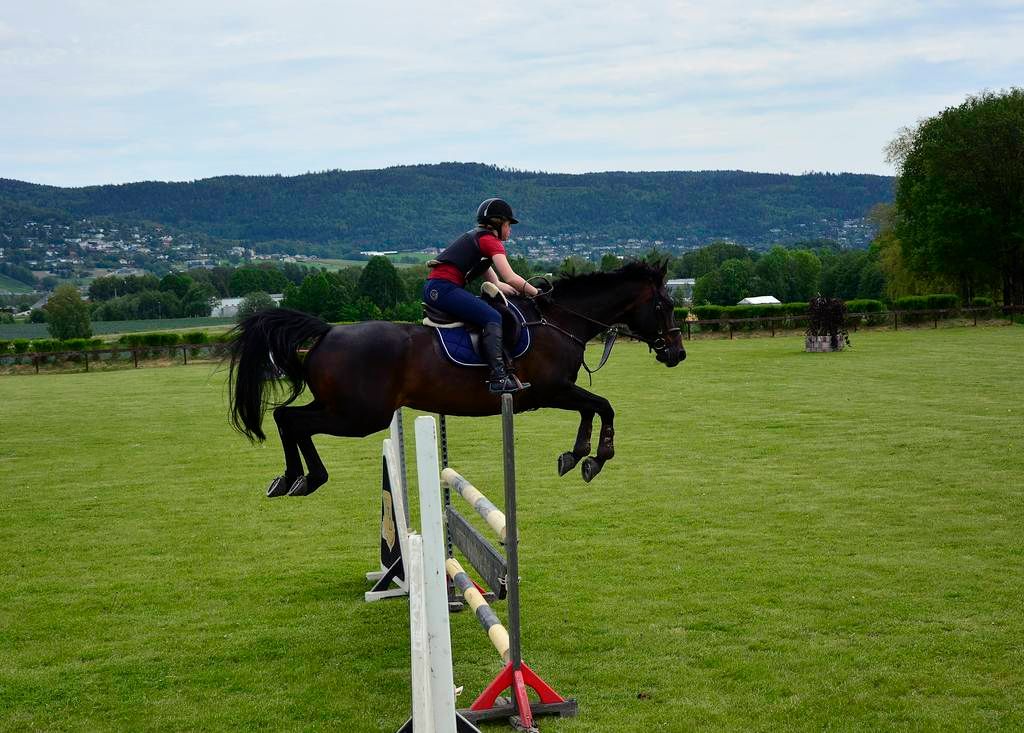  photo 28_zpscrlg5a6m.jpg