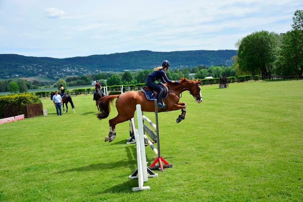  photo 29_zpslbchjrpn.jpg