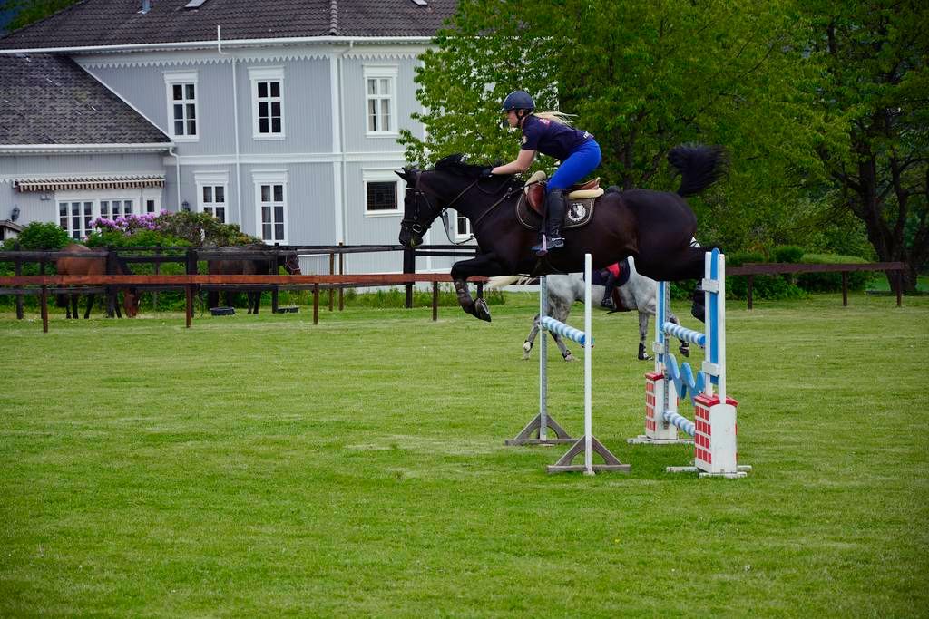  photo 30_zps3yuzqbrz.jpg