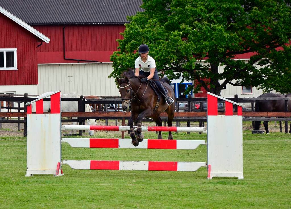  photo 32_zpspoufxvvp.jpg