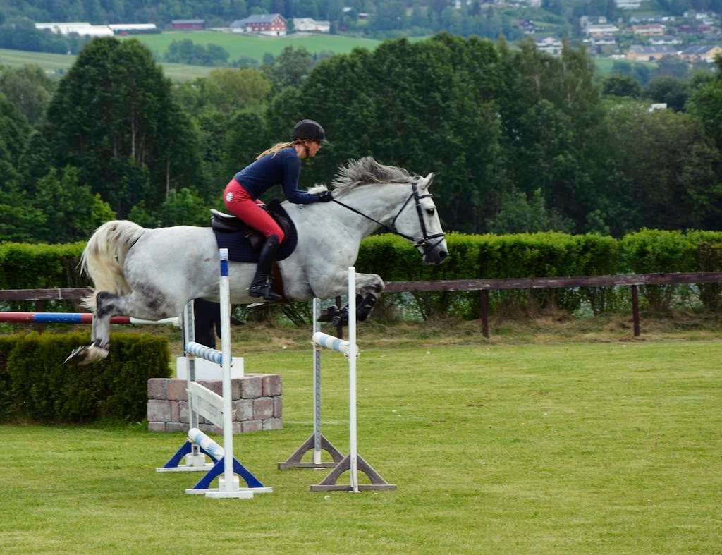  photo 34_zps0a5eqpax.jpg