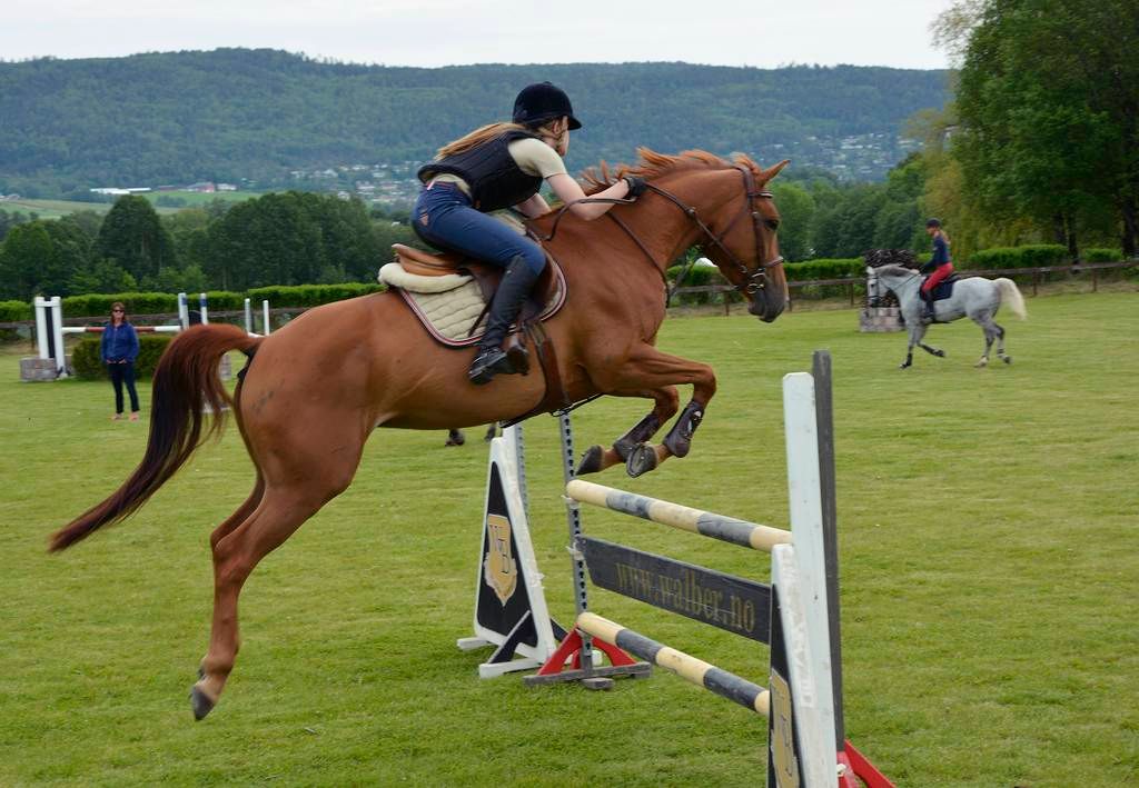  photo 35_zpsooj1ui7i.jpg