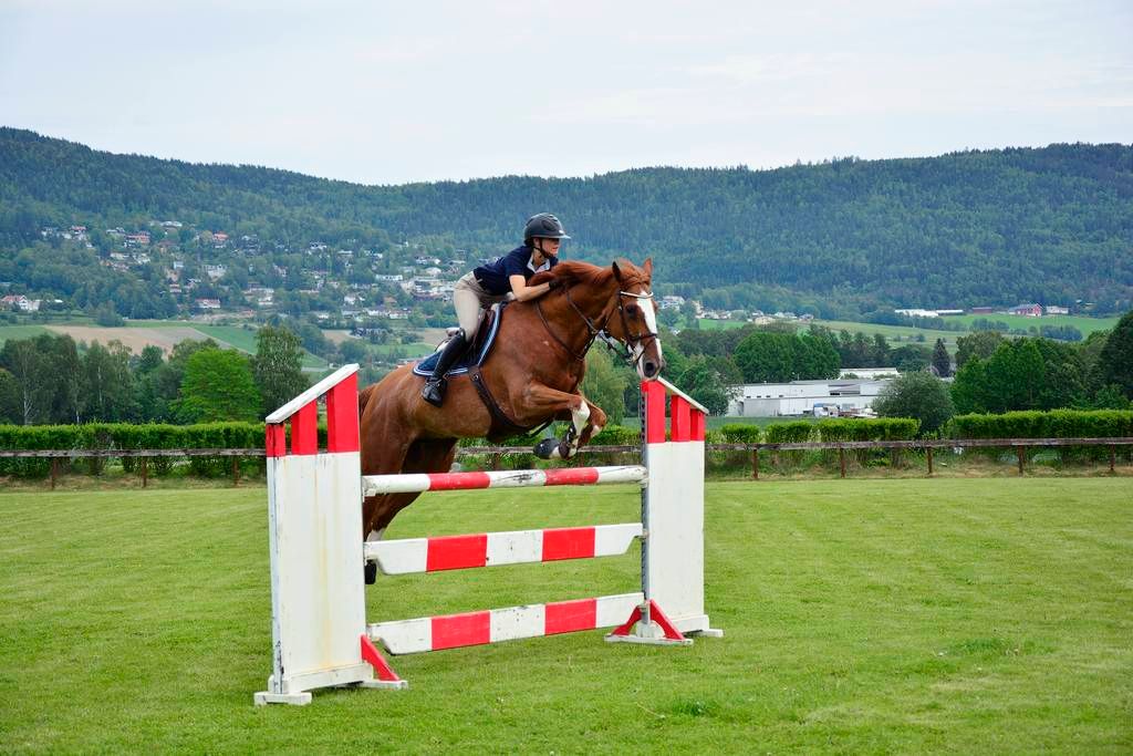  photo 36_zpscyfkfn3h.jpg