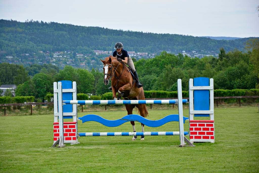  photo 37_zpsagonyita.jpg