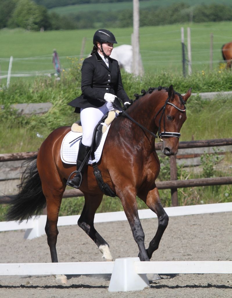 Sommerstevne Trøndelag photo 442 sommerst troslashn 15_zpsldk3ewco.jpg