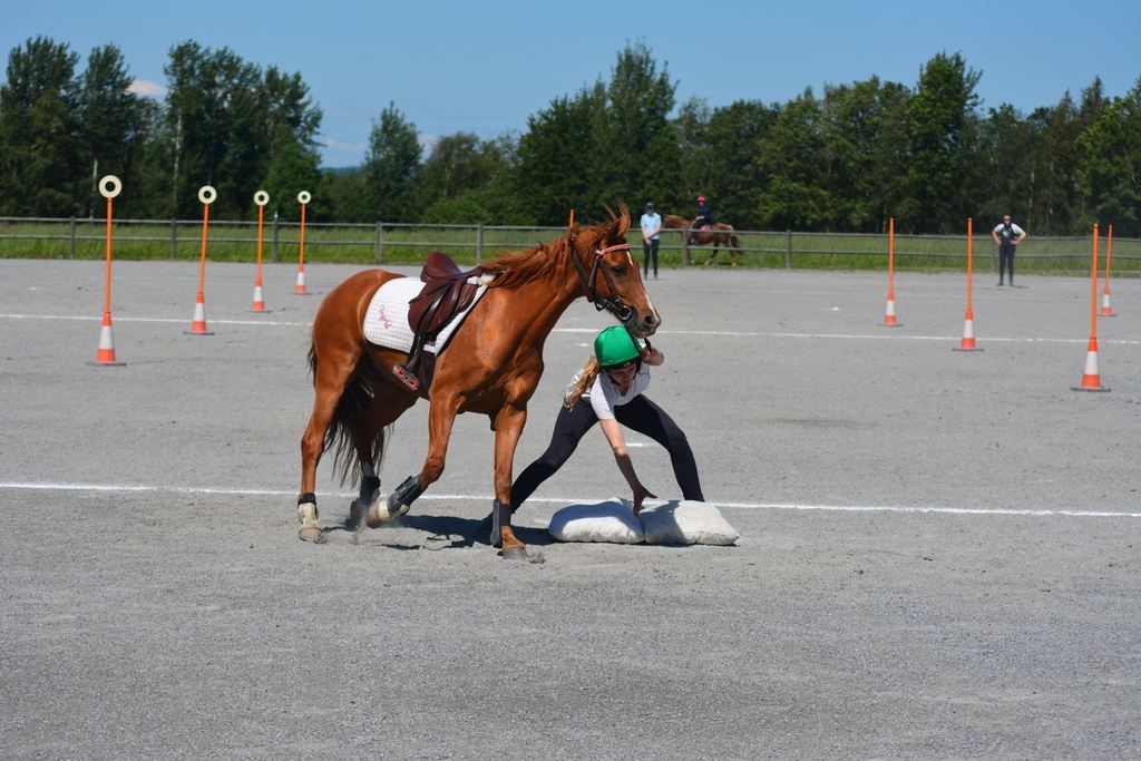  photo 887380_1085807744782697_2094820967437190087_o_zpsmp3sxj8b.jpg