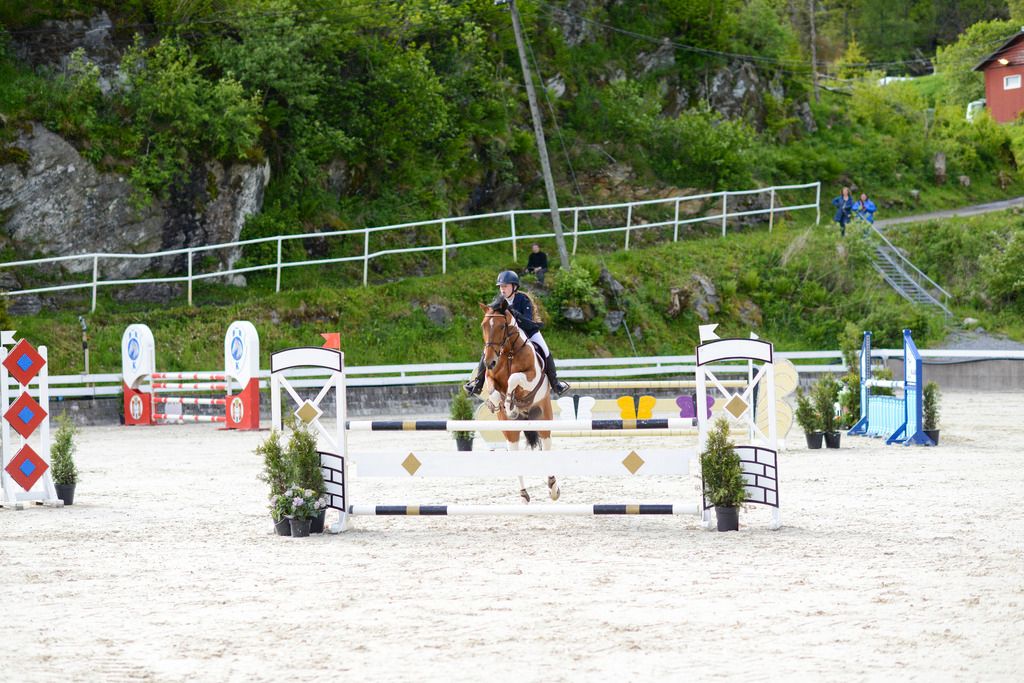 Thea Pettersen og Mulwin Patchwork på Bergen Horse Show. Foto: Ida Pettersen photo BergenHorseShow_15_zpsueo3hujp.jpg