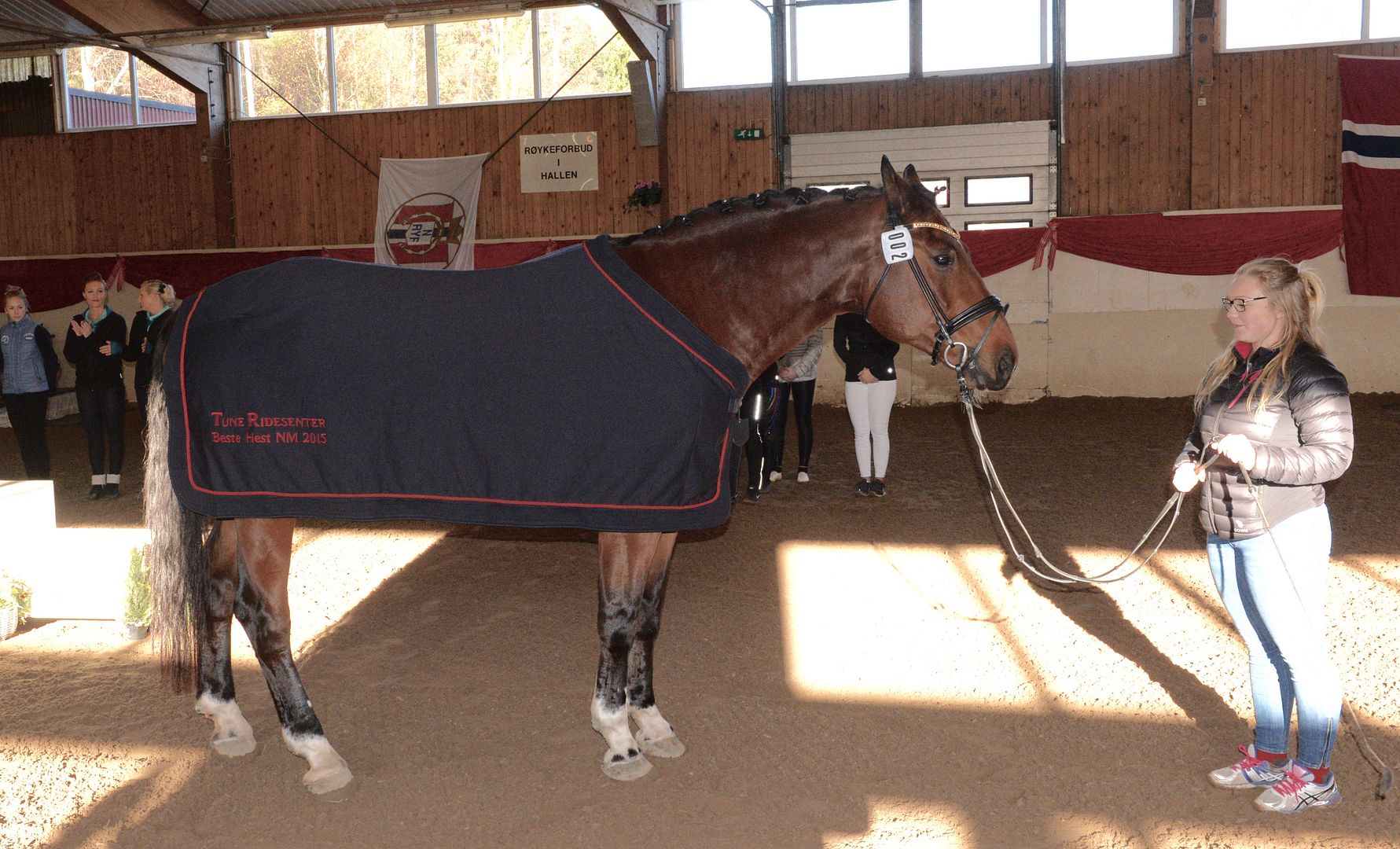 NM voltige 2015 (foto: Anton Granhus) photo Beste Hest - Luca Toni _zps7klm9fhr.jpg