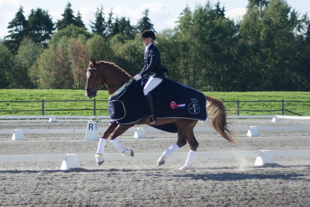 Breedersfinale dressur 2015 Foto: Ida Ruud photo Breeders5_zpsyemciuym.jpg