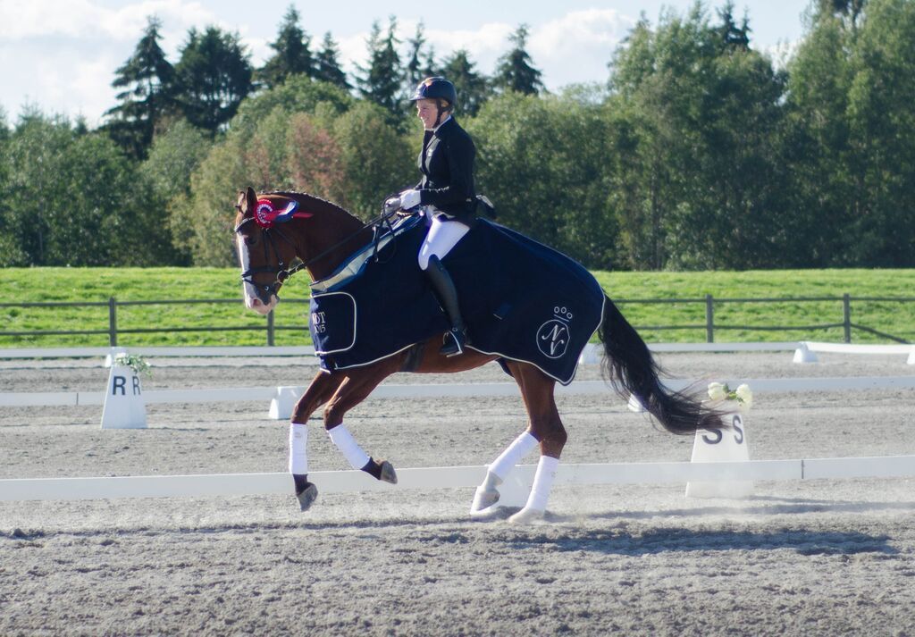 Breedersfinale dressur 2015 Foto: Ida Ruud photo Breeders6_zpsnym0ntcs.jpg