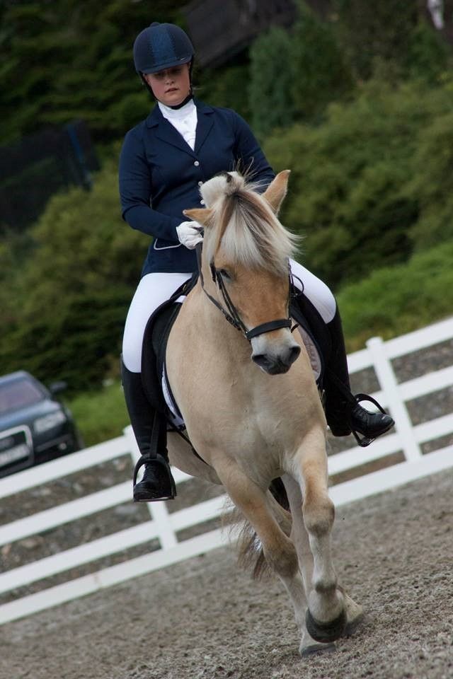 Cathrine Barsjøslashe photo Cathrine Barsoslashe - Skjersbrage 67600  2. plass LC_zpsnd9qkcta.jpg