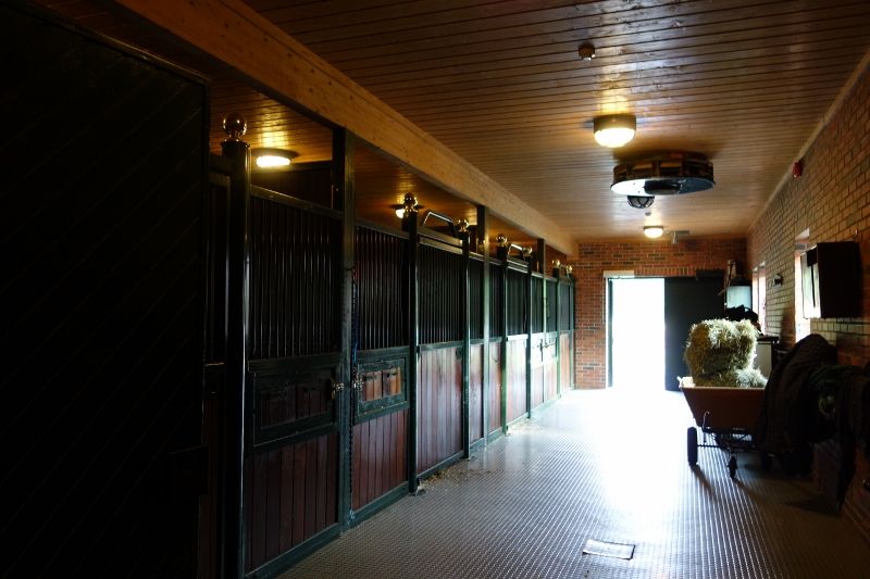 Skogan G photo DSC00799800x533_zpsf173550c.jpg