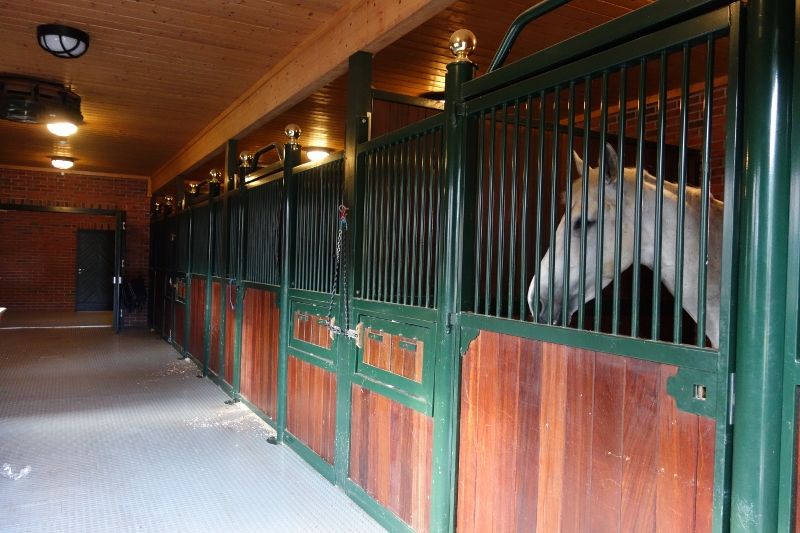 Skogan G photo DSC00800800x533_zps3cc41bd4.jpg