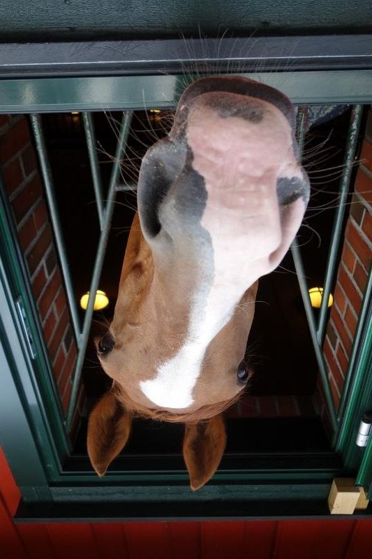 Skogan G photo DSC00808533x800_zps21e848bd.jpg