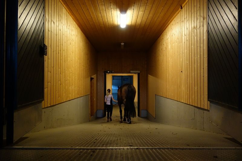 Skogan G photo DSC00830800x533_zps1b92efed.jpg