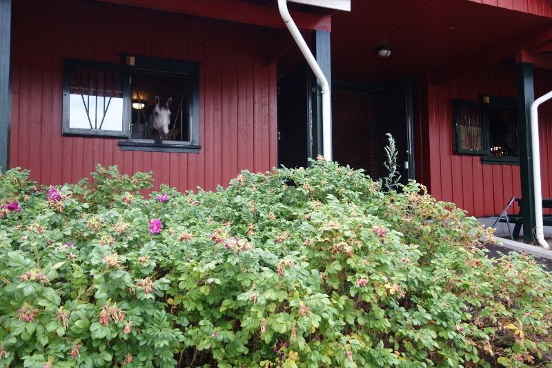 Skogan G photo DSC00833800x533_zps4482fae6.jpg