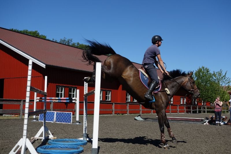  photo DSC01100800x533_zpsb2d21f5d.jpg