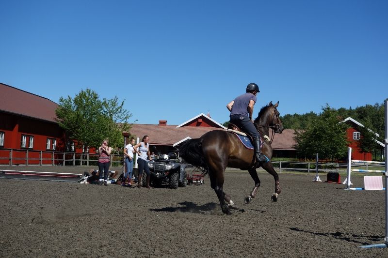  photo DSC01102800x533_zps2dec9f99.jpg