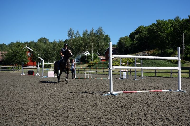  photo DSC01114800x533_zpsb0ce37c1.jpg