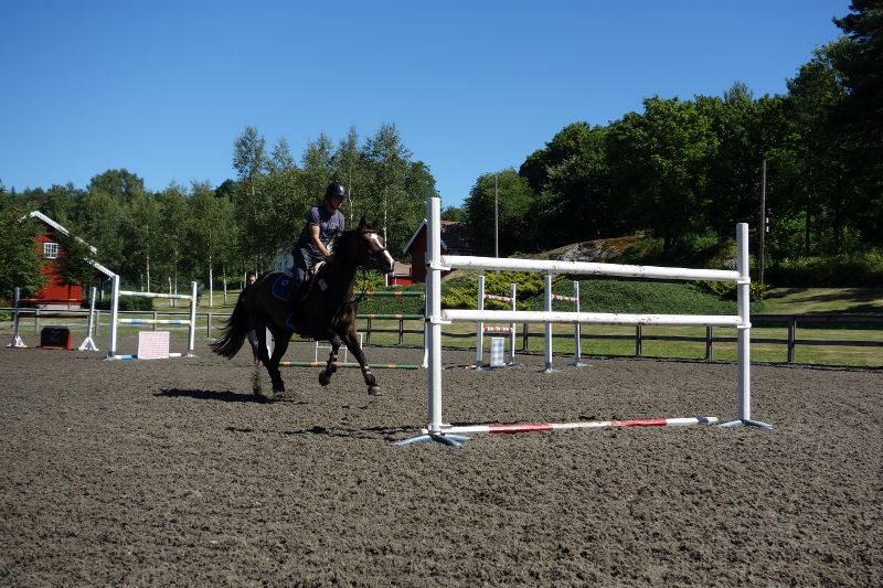  photo DSC01115800x533_zpsf92493b0.jpg