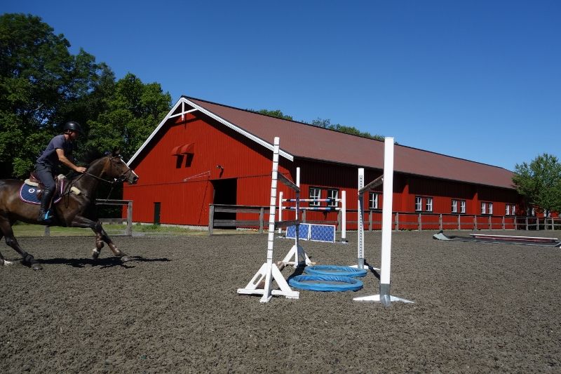  photo DSC01120800x533_zpsa0e28751.jpg