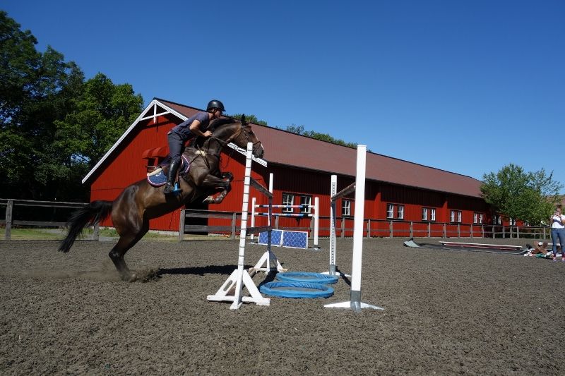  photo DSC01121800x533_zps55a266fc.jpg