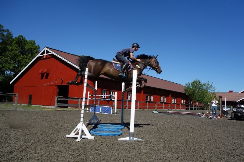  photo DSC01122800x533_zpsdc9447fb.jpg