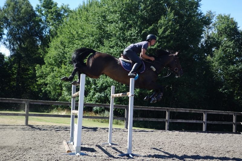  photo DSC01137800x533_zps3987234e.jpg