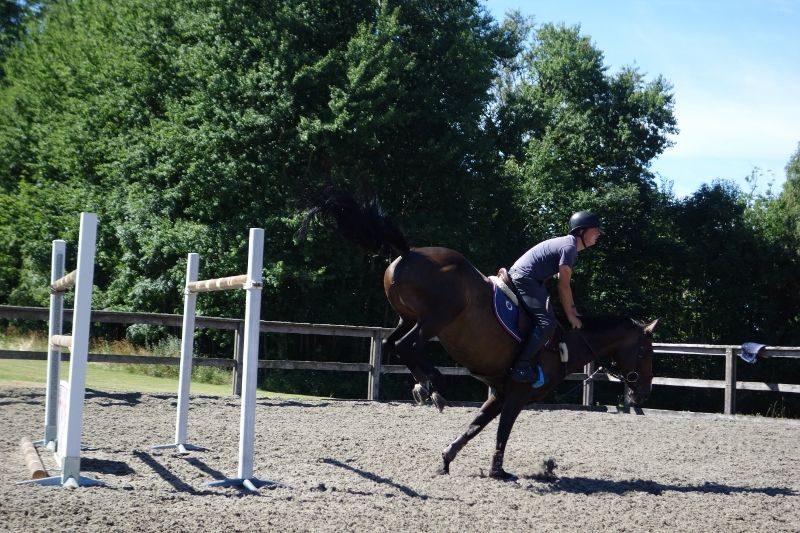  photo DSC01138800x533_zps4fe1ca24.jpg