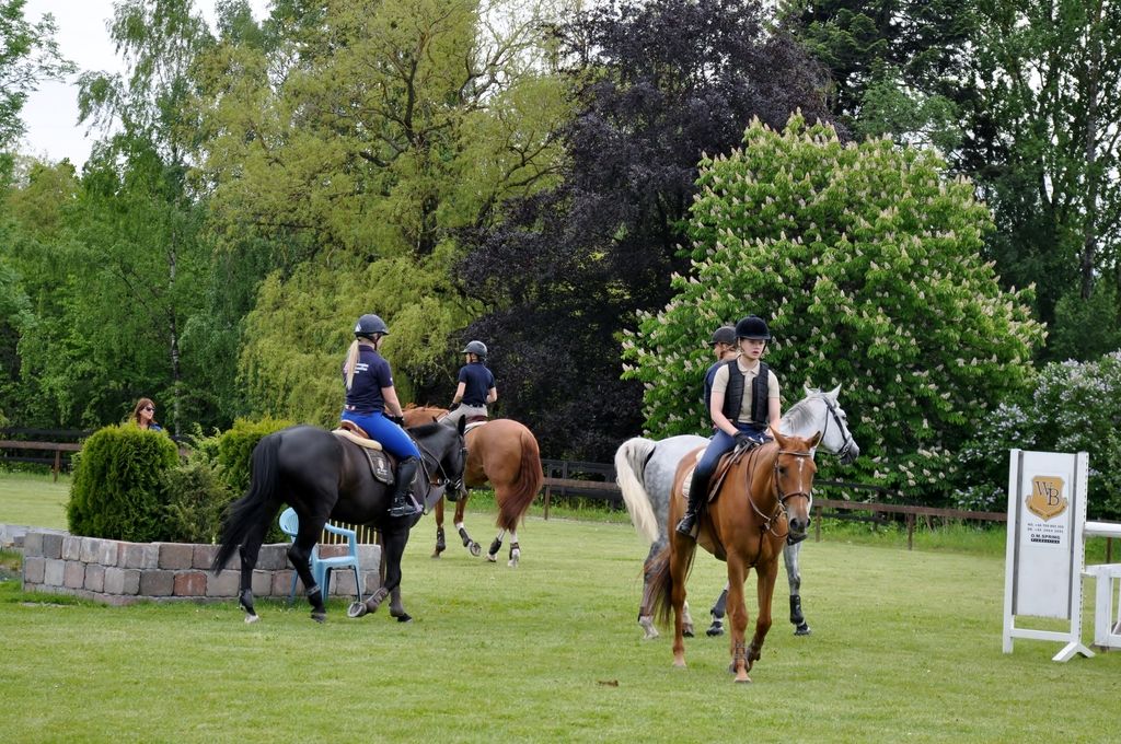  photo DSC_0010_zpshpoz5wef.jpg