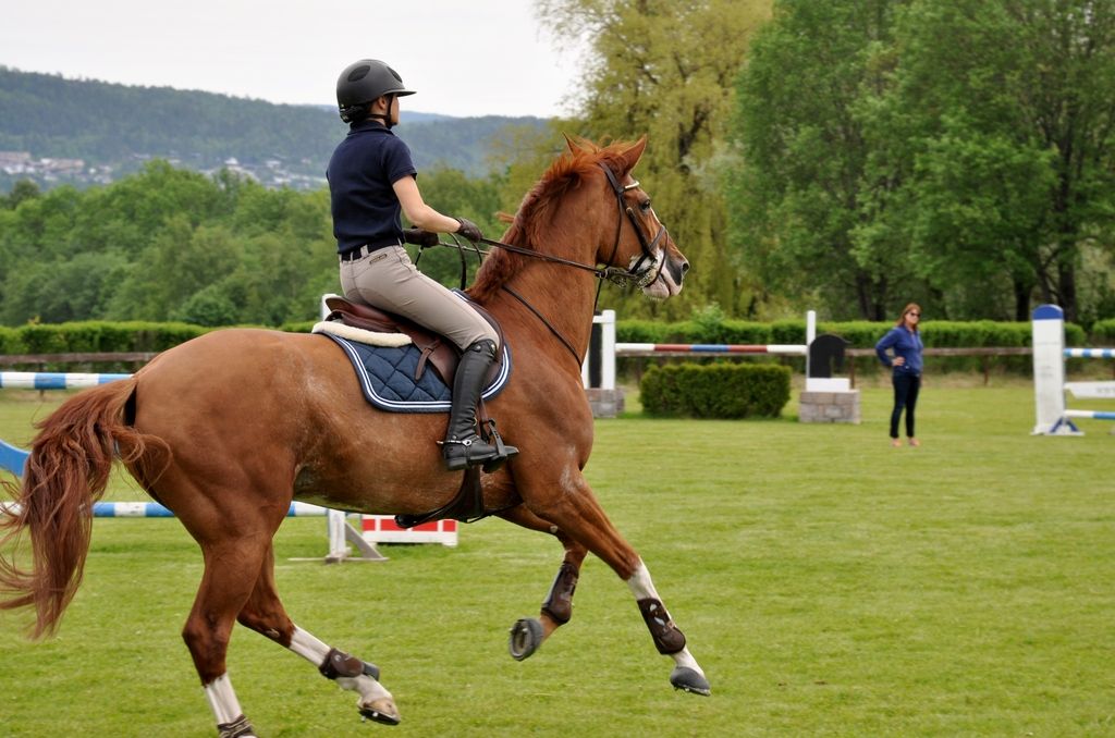  photo DSC_0012_zpsjfw6wf5x.jpg