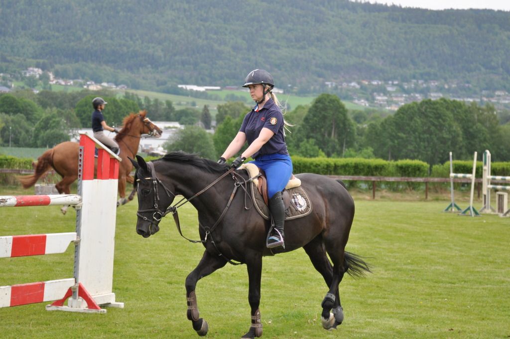  photo DSC_0020_zps1kacec7l.jpg