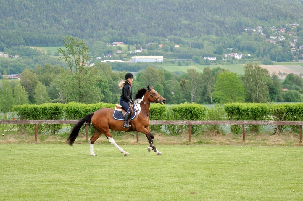  photo DSC_0022_zpspsbrr7l9.jpg