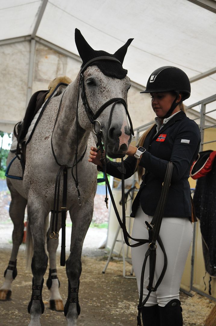  photo DSC_0031_zps4tqpl4g6.jpg