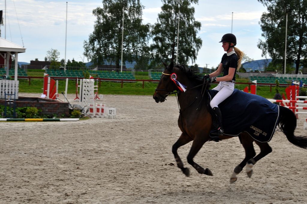 Norgesserien 1 div photo DSC_0032_zpsswfvpqx2.jpg