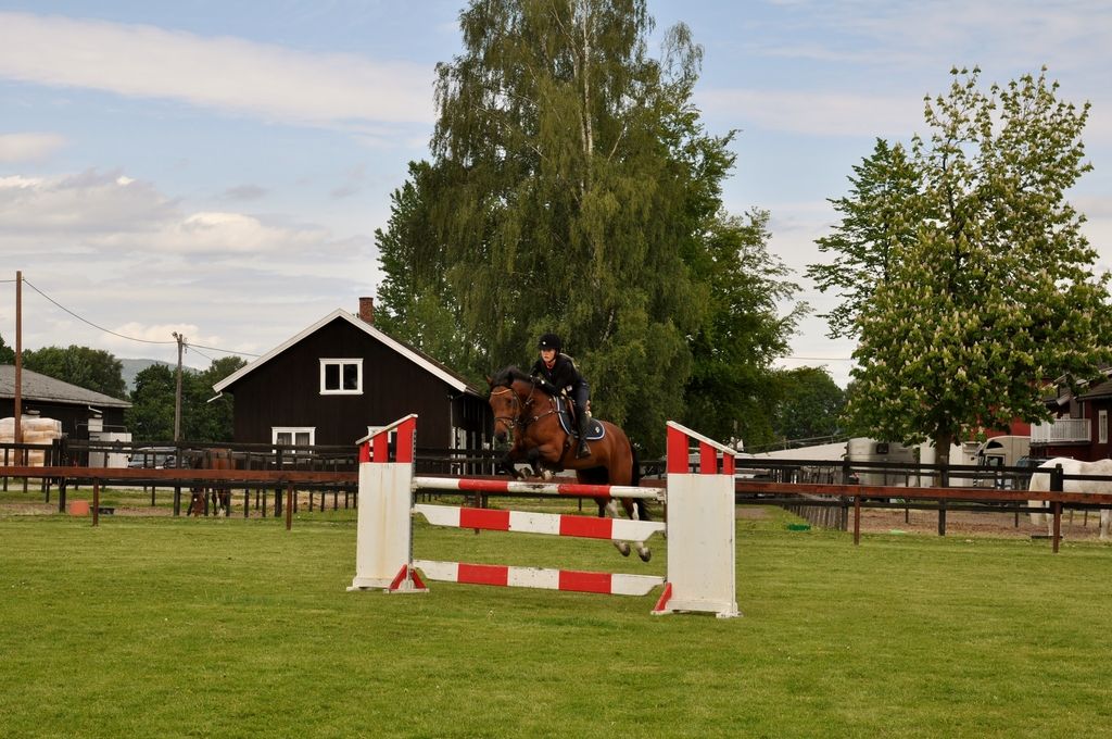  photo DSC_0034_zps7ryyhh1y.jpg