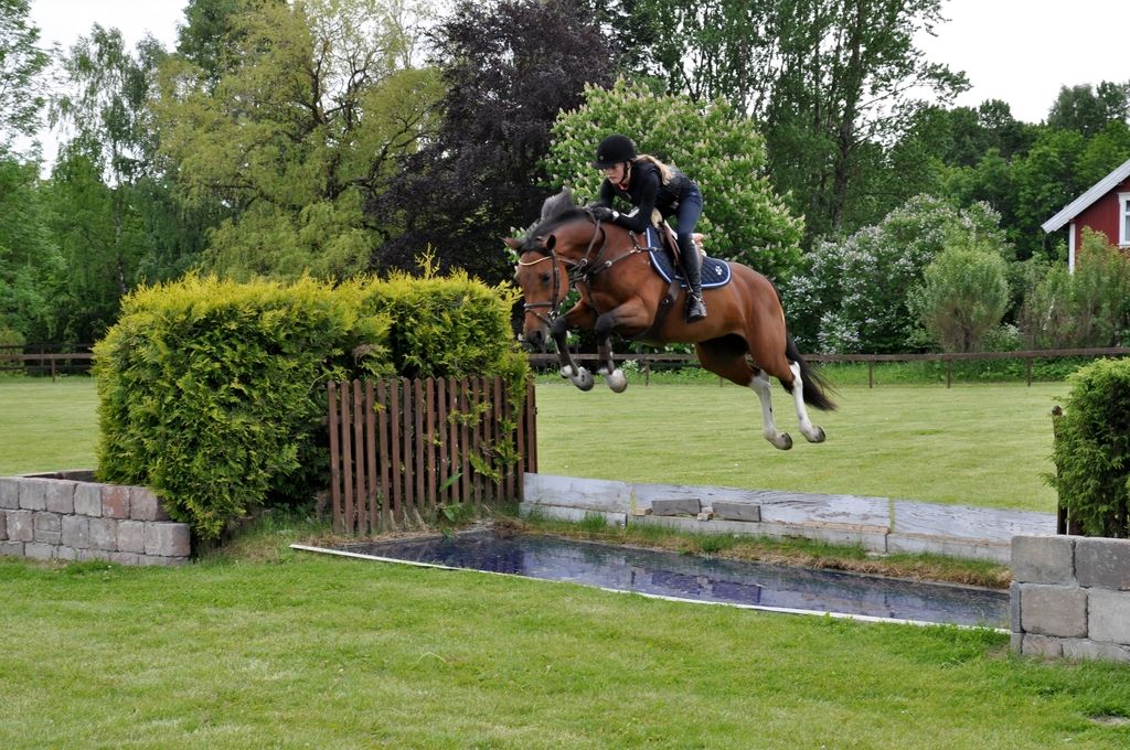  photo DSC_0042_zpsr4icp147.jpg