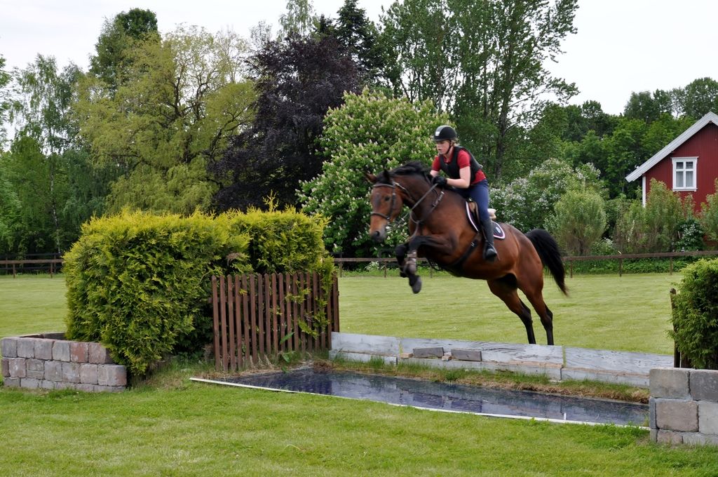  photo DSC_0051_zpsofkwggw9.jpg