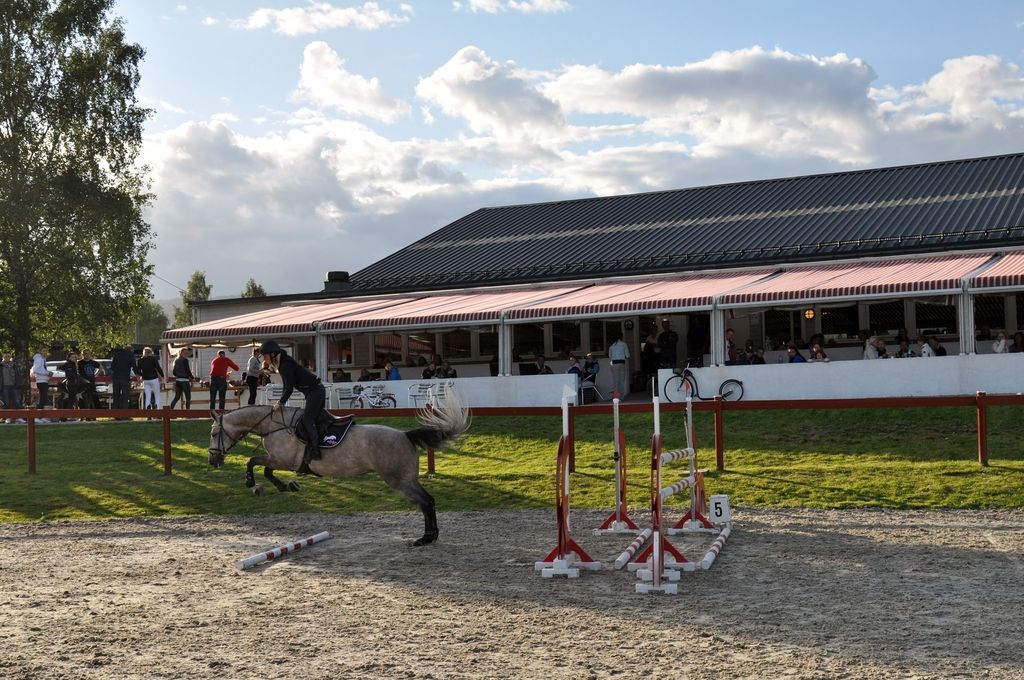 Clinic Stall Hafskjold 2015. Foto: Mina Walen Simensen photo DSC_0075 - Kopi_zpskyggbqom.jpg