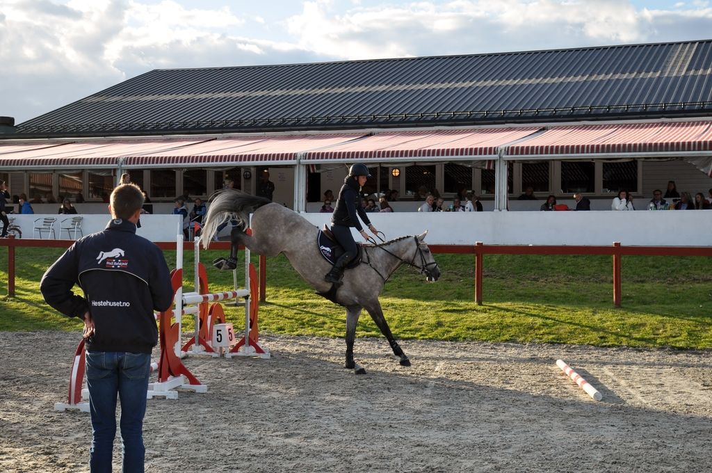 Clinic Stall Hafskjold 2015. Foto: Mina Walen Simensen photo DSC_0079 - Kopi_zpsv9joleo6.jpg