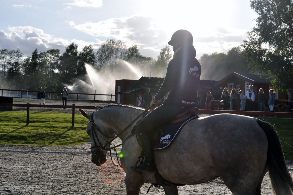 Clinic Stall Hafskjold 2015. Foto: Mina Walen Simensen photo DSC_0089 - Kopi_zpszvrffoje.jpg
