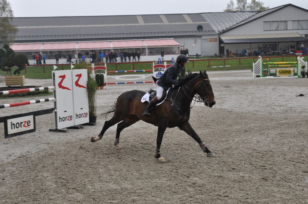  photo DSC_0100_zpsjy0d5fmw.jpg